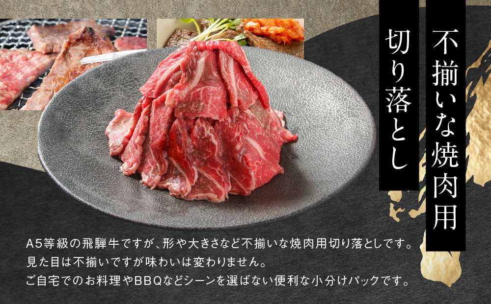 【12月配送】【形不揃い訳あり】A5等級飛騨牛 焼肉 切り落とし600g（冷蔵配送）| 年内発送 牛肉 肉 和牛 キャンプ 肉料理 ブランド牛 不揃い 人気 国産 お取り寄せ グルメ おすすめ 株式会