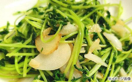 にんにく 冷凍皮むきにんにく 150g×3 [AQBT006]