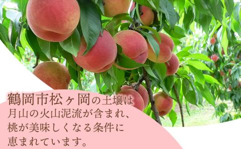 【令和6年産先行予約】 桃 品種おまかせ 5kg(15玉～18玉) 山形県鶴岡市産　株式会社 元青果
