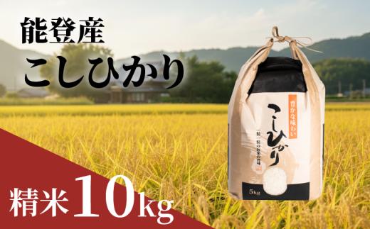 新米 こしひかり 精米 10kg 能登 の おこめ 数量限定 令和7年産 甘み hakumai ※ ご飯 ごはん R7 2025年産 おいしい 美味しい 石川県 石川 能登 羽咋 支援 応援 復興応援 復興支援 お米 米 白米 こめ kome okome ふるさと納税米 