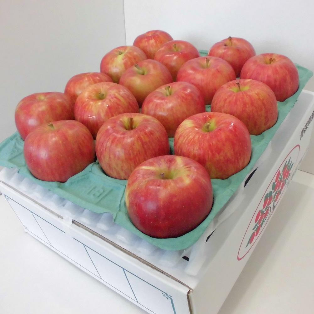 9月 りんご 5kg 葉とらず サンつがる 青森 【2025年 リンゴ 林檎 果物 クール便】
