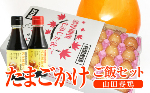 
【山田養鶏】たまごかけご飯セット [No.188] ／ 卵かけご飯 濃口醤油 薄口醤油 新鮮 採れたて 岐阜県 特産
