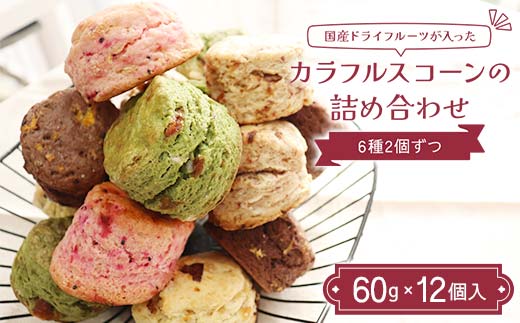 国産ドライフルーツが入ったカラフルスコーンの詰め合わせ 12個入り（6種2個ずつ） ココア 抹茶 いちご フルーツ 紅茶 胡麻 塩キャラメル ピーチ 焼き菓子 F7X-0512