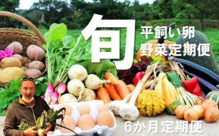【季節の野菜 定期便6ヵ月】採れたて！旬のお野菜定期便 新鮮 採れたて 産地直送 旬野菜 朝採れ 有機野菜 年末年始 鍋 お正月 お歳暮 御歳暮 ギフト 定期便