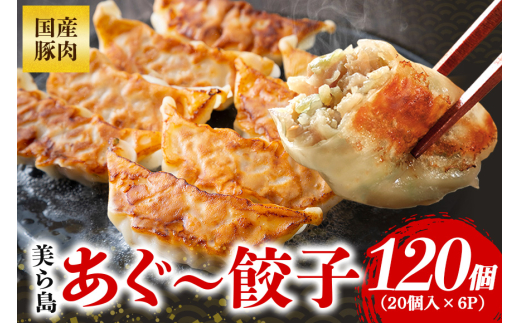 美ら島あぐー餃子 120個セット 20個入×6パック 絶品 こだわり 豚 肉 国産 ごはん おかず お弁当 冷凍 ぎょうざ ギョウザ 小分け BBQ ギョーザ 惣菜 晩酌 ギフト 手作り 生餃子 豚肉 冷凍食品 おつまみ 冷凍餃子 ブランド豚 総菜 中華 焼き餃子 沖縄県 糸満市