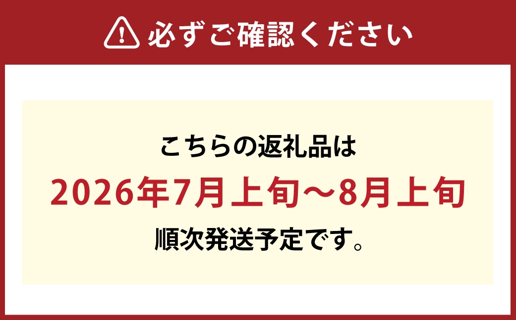 マスカットオブアレキサンドリア2房（1房約500g以上）