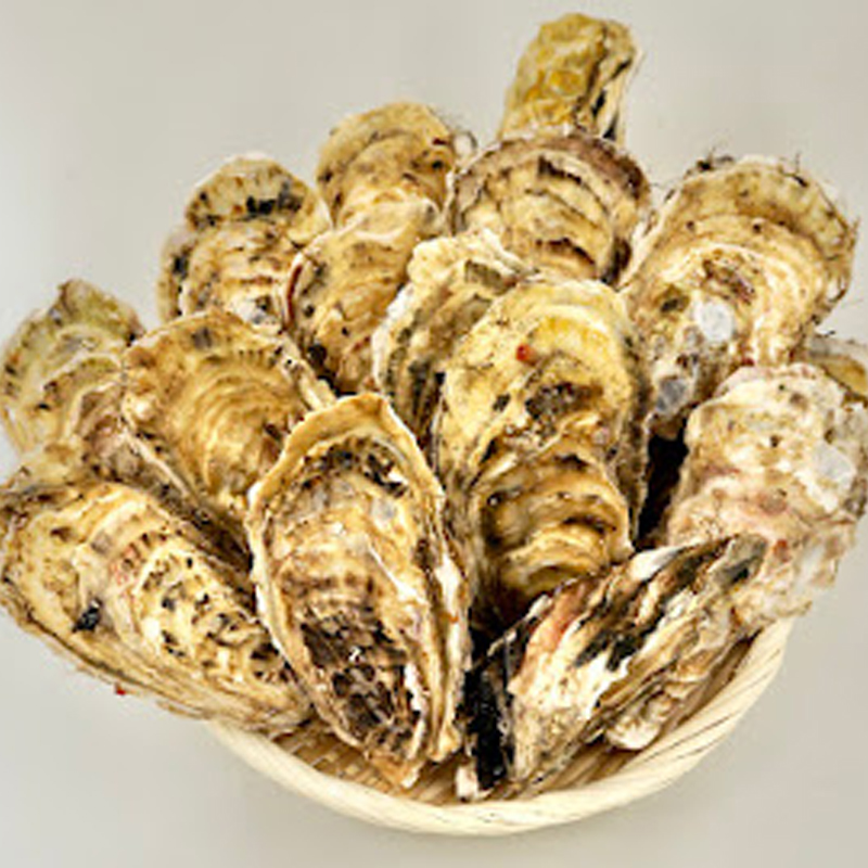 【先行予約】 海道 仙鳳趾名産 牡蠣 150g～199g×12コ+かきナイフ付き かき漁師直送 K3-3＜出荷時期：2026年7月1日～順次出荷＞ 北海道 釧路町 釧路超 特産品