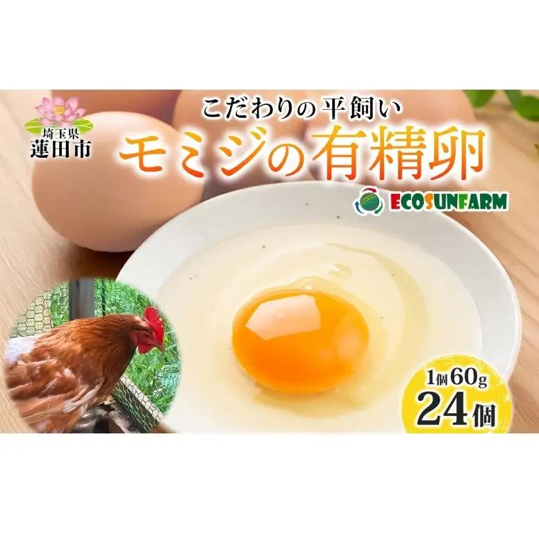 平飼いモミジの有精卵 24個 平飼い 卵 有精卵 もみじ こだわり 国産 鶏卵 赤玉 発酵飼料 濃厚 たまご かけご飯 スイーツ お取り寄せ 産地直送 朝食 エコサンファーム 埼玉県 蓮田市