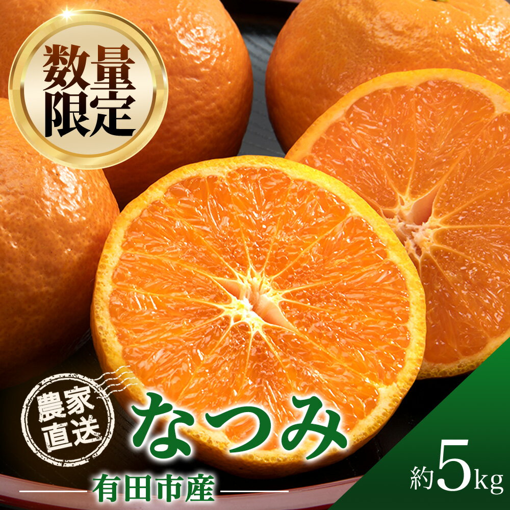 【ふるさと納税】なつみ 南津海 5kg 濃厚 柑橘 フルーツ 果物 くだもの みかん 人気 おすすめ 送料無料 国産 和歌山 有田市【2026年4月上旬から順次お届け】（A140-1）