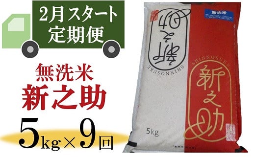 令和6年産新米【定期便・2月～発送】新之助 無洗米 5kg×9回（計 45kg）徳永農園[Y0351]