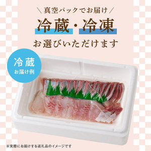 【単月お届け】大和海商　こだわり漁師のお刺身　6人前　N072-ZA461_2