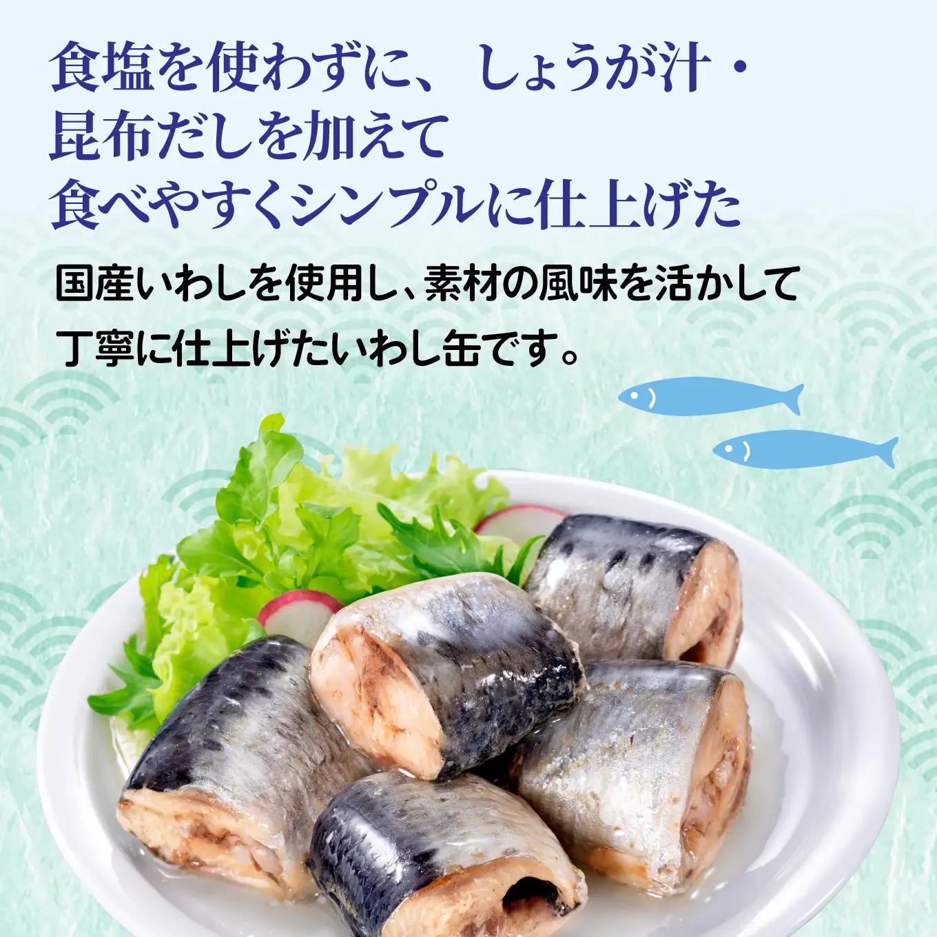 日本のいわし缶 水煮 食塩不使用 130gx24缶　HOKO 宝幸　青森県 八戸市