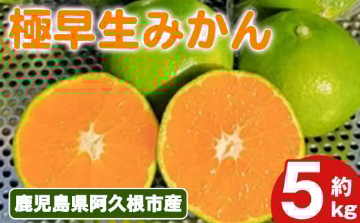 
            ＜先行予約受付中！2025年9月上旬以降順次発送予定＞極早生みかん(5kg) 国産 みかん 極早生 早生 柑橘 果物 フルーツ デザート 果実 期間限定 数量限定【古田果樹園】akn093-06
          