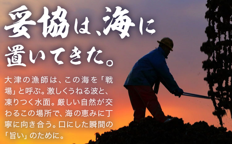北海道大津産 産地直送 生 牡蠣 20個 大津漁業協同組合《5月中旬-6月下旬頃出荷》北海道 豊頃町 北海道産 生牡蠣 生食用 カキ 牡蠣 かき---toyokoro_ogk_1_20p---