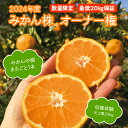 【ふるさと納税】数量限定 みかんの樹まるごと1本 オーナー権 最低 20kg 保証 収穫体験 フルーツ 果物 高千穂 宮崎県 九州 宮崎 延岡市 北方町 2024年度 みかん 蜜柑 みかん株 青島みかん マリちゃん農園 マリみかん