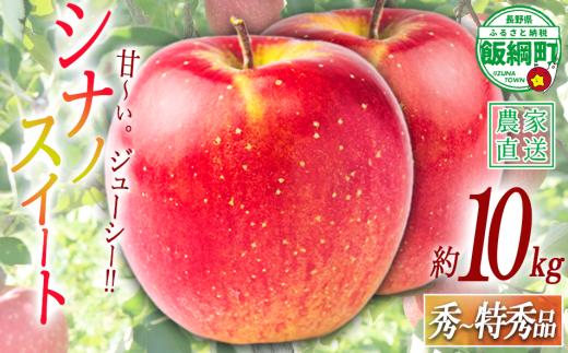 りんご シナノスイート 特秀 10kg 令和8年度収穫分 2026年10月上旬頃から2026年10月中旬頃まで順次発送予定 宮本ファーム エコファーマー 減農薬栽培 長野県 飯綱町 [2092]