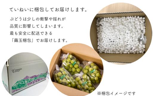 【家庭用】 ぶどう2種セット （ナガノパープル・クイーンルージュR） 約2kg [TK37]／ 2026年9月中旬～10月頃 配送予定 //