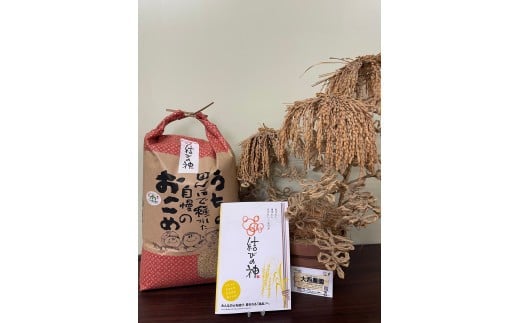 1870 精米発送（玄米10ｋｇを精米してから発送するため1割ほど目減りします）令和7年産結びの神　数量限定 ご飯 お米 コメ 10キロ 白米 伊勢市 伊勢市産 伊勢志摩 三重県 米粒が大きい つや べたつき少ない もちもち ふっくら 大西農園