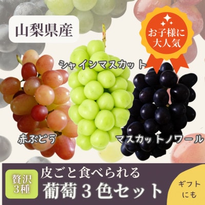 山梨県まきおか産　皮ごと食べられる葡萄3色セット【配送不可地域：離島・沖縄県】