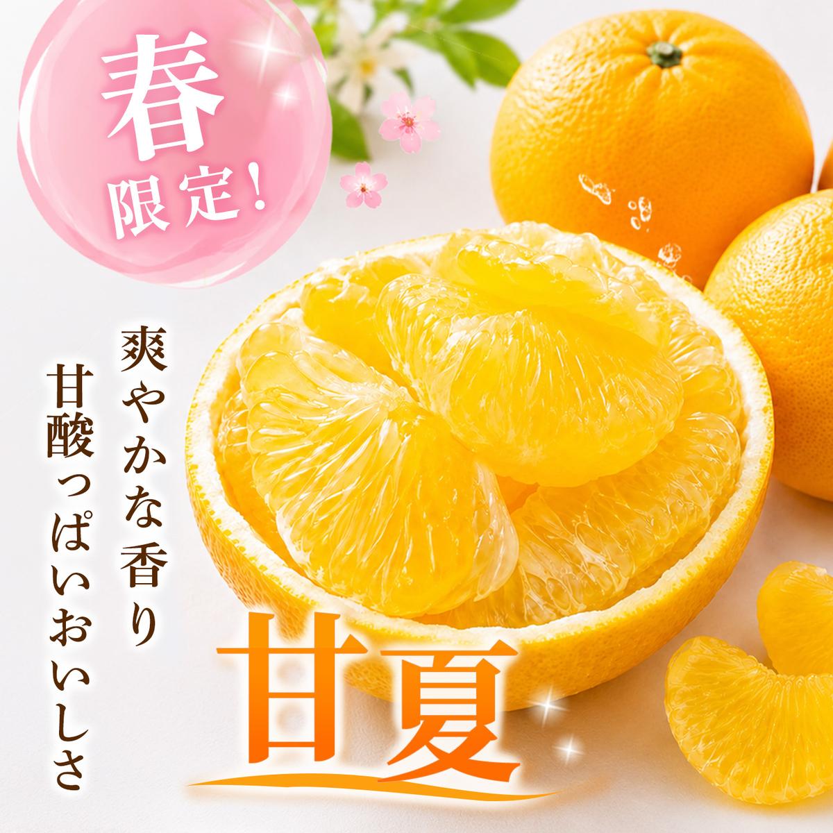 【2027年4月中旬より発送開始】甘夏 5kg【みかん 柑橘 フルーツ デザート】(H116143)