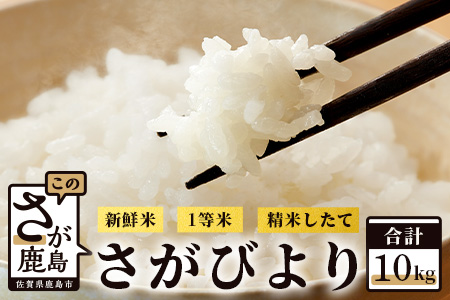 【新鮮米】佐賀県鹿島産さがびより白米10kg 令和6年産 B-339