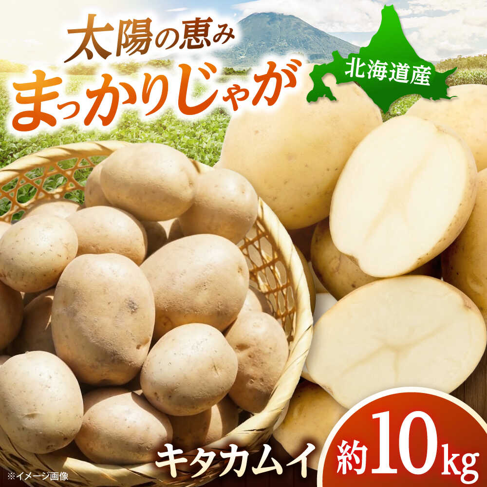 【ふるさと納税】【2026年11月上旬以降順次発送】 じゃがいも キタカムイ（まっかりじゃが）10kg | 野菜 じゃがいも ジャガイモ キタカムイ 北海道 産地直送 | 道の駅 真狩フラワーセンター[BPAM047]