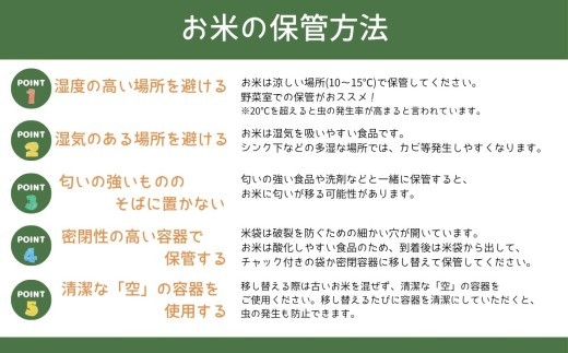 米 玄米【令和8年産 新米】 まっしぐら 10kg 玄米
