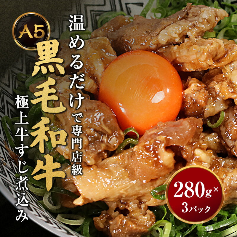 【ふるさと納税】 A5 黒毛和牛 牛すじ煮込み 280g×3パック 牛すじ 和牛すじ 惣菜 おかず ご飯のお供 おつまみ レトルト 温めるだけ 簡単調理 冷凍 お取り寄せ グルメ 京都府舞鶴市