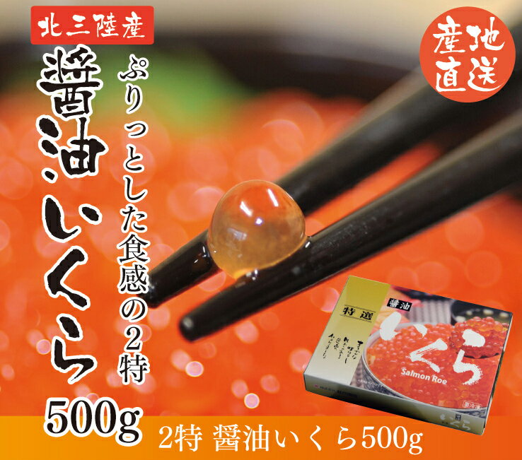 【ふるさと納税】 訳あり 三陸産 いくら醤油漬け (鮭卵) 500g 2特 岩手県産 国産