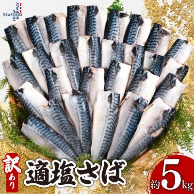 ふるさと納税 銚子市 訳あり　適塩さば　約5kg