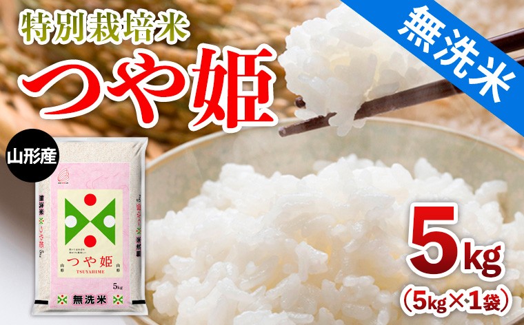 
                  山形産 【無洗米】 特別栽培米 つや姫 5kg FZ26-904
                
