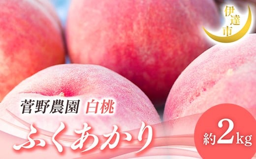 
            【2026年出荷分先行予約】福島県産 ふくあかり 約2kg (5～9玉) 菅野農園FruitsProvider 贈り物 贈答 ギフト 伊達の桃 桃 フルーツ 果物 もも モモ momo F21C-012
          
