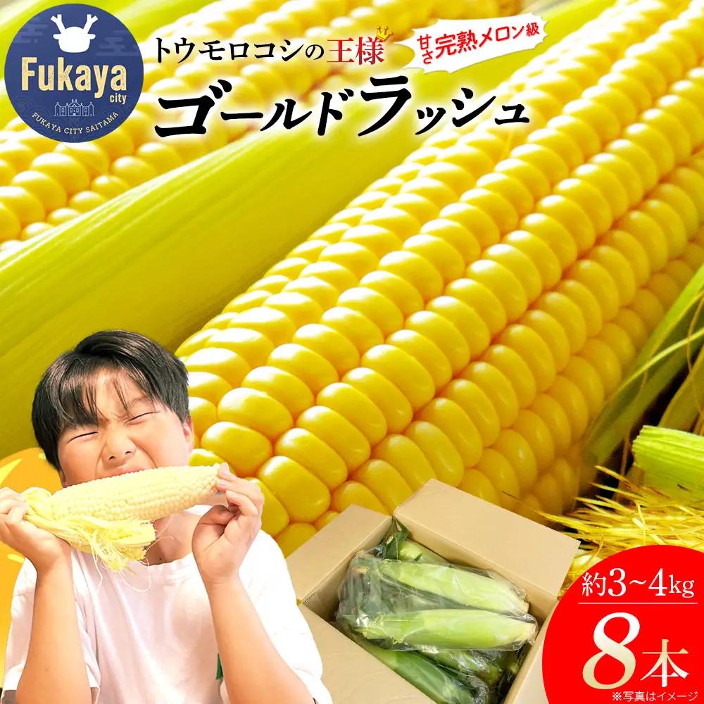 【深谷】とうもろこしの王様 ゴールドラッシュ 8本 3～4kg　【11218-1022】