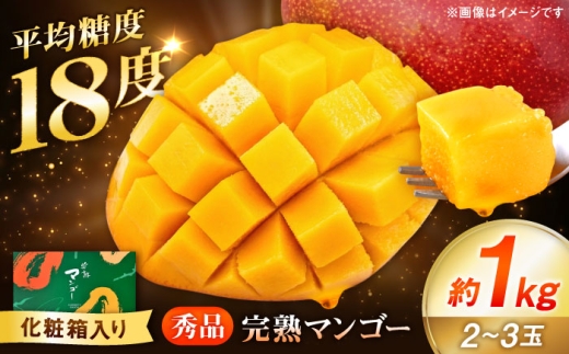 秀品 完熟マンゴー約1kg（2～3玉）