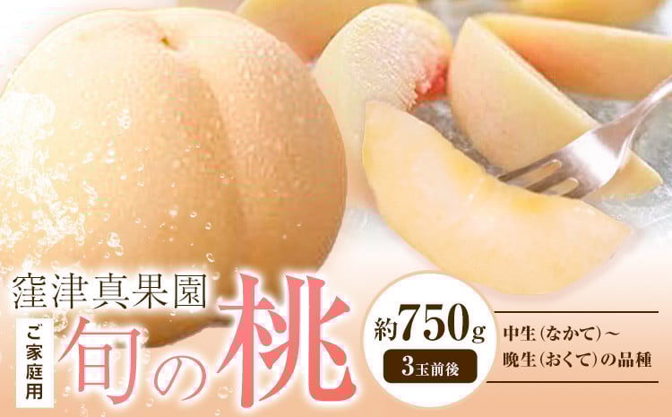 
            【2026年先行予約】ご家庭用 旬の桃 (なかて~おくての品種) 約750g (3玉前後) 窪津真果園【配送不可地域あり】《2026年7月中旬-9月中旬頃出荷》岡山県 浅口市 フルーツ モモ 果物 青果 旬 白桃 国産 岡山県産
          