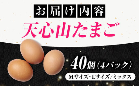 天心山 たまご 40個（10個入り×4パック） 卵 たまご 高級 食品 たまごかけご飯 卵かけご飯 卵焼き 生卵 濃厚 ケーキ お菓子 づくり ランキング 上位 人気 おすすめ 　広島県福山市/天心山