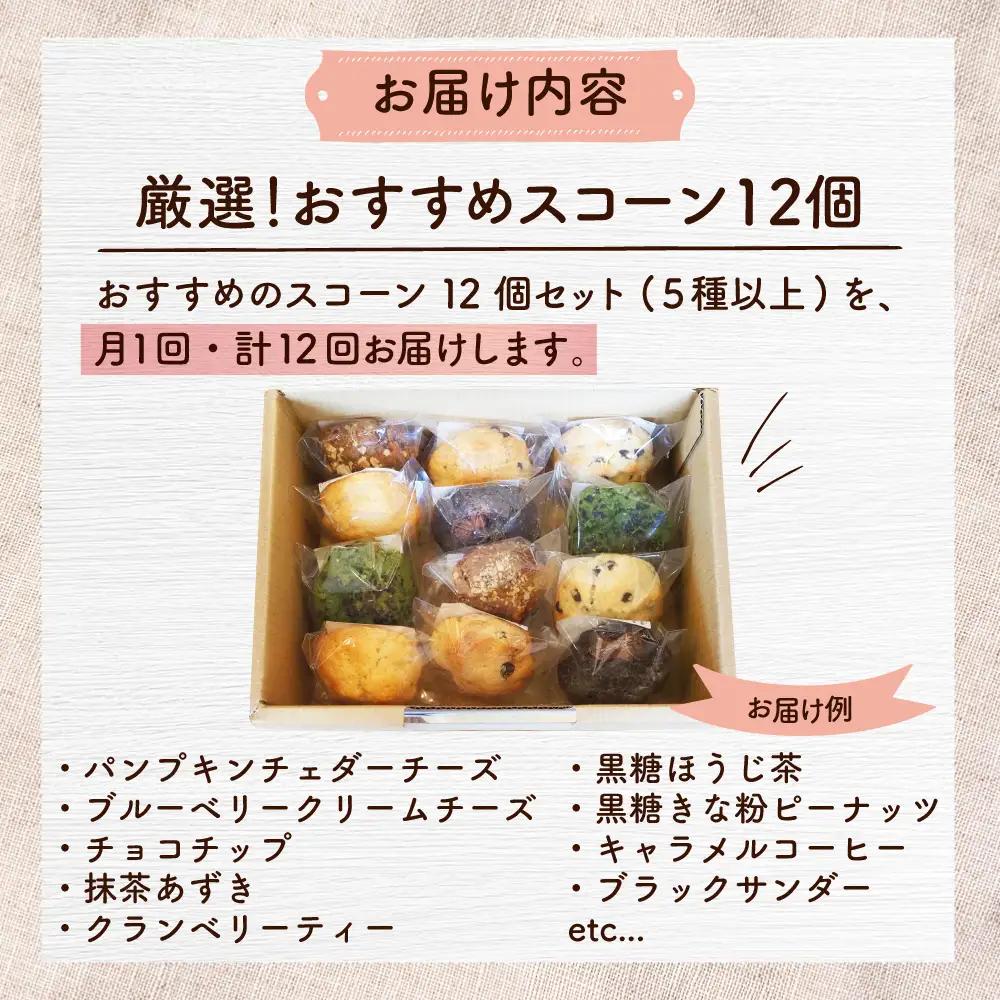 【全12回定期便】厳選おすすめ スコーン 12個セット  BCAE013 スイーツ