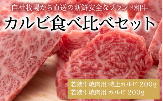 
若狭牛焼肉 カルビ食べ比べセット 計400g [B-1804]
