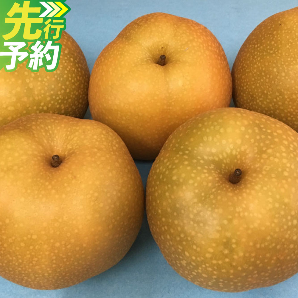 【ふるさと納税】熊本「旬の梨」約5kg（ 幸水 、 豊水 、 あきづき 、 新高 のいずれか 1品種）なし フルーツ くだもの 果物 果実 熊本県産 国産 送料無料 冷蔵【2027年8月下旬～9月下旬発送予定】
