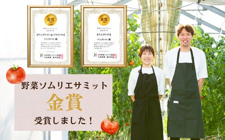 《先行予約》 濃厚！ウエタトマトのトマト 2kg 