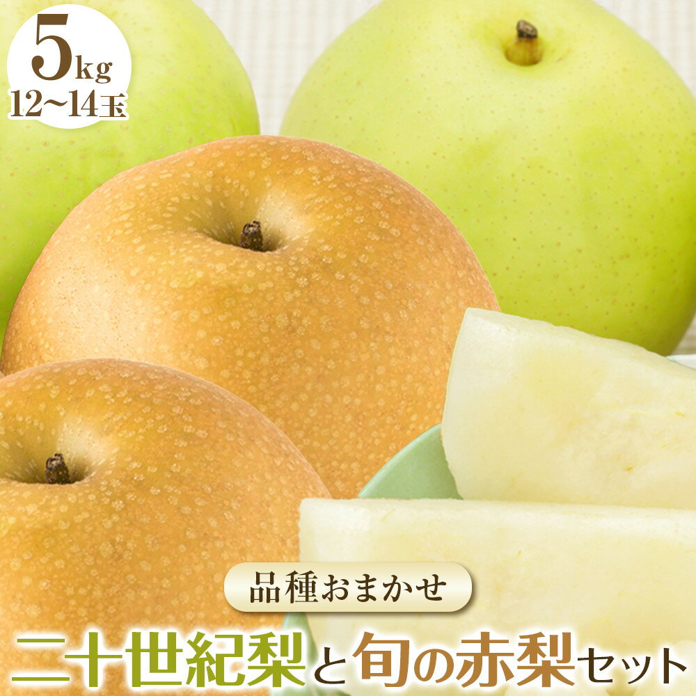 【ふるさと納税】282.【先行予約】二十世紀梨と旬の赤梨セット　5kg◇　※2025年8月下旬～9月下旬頃に順次発送予定
