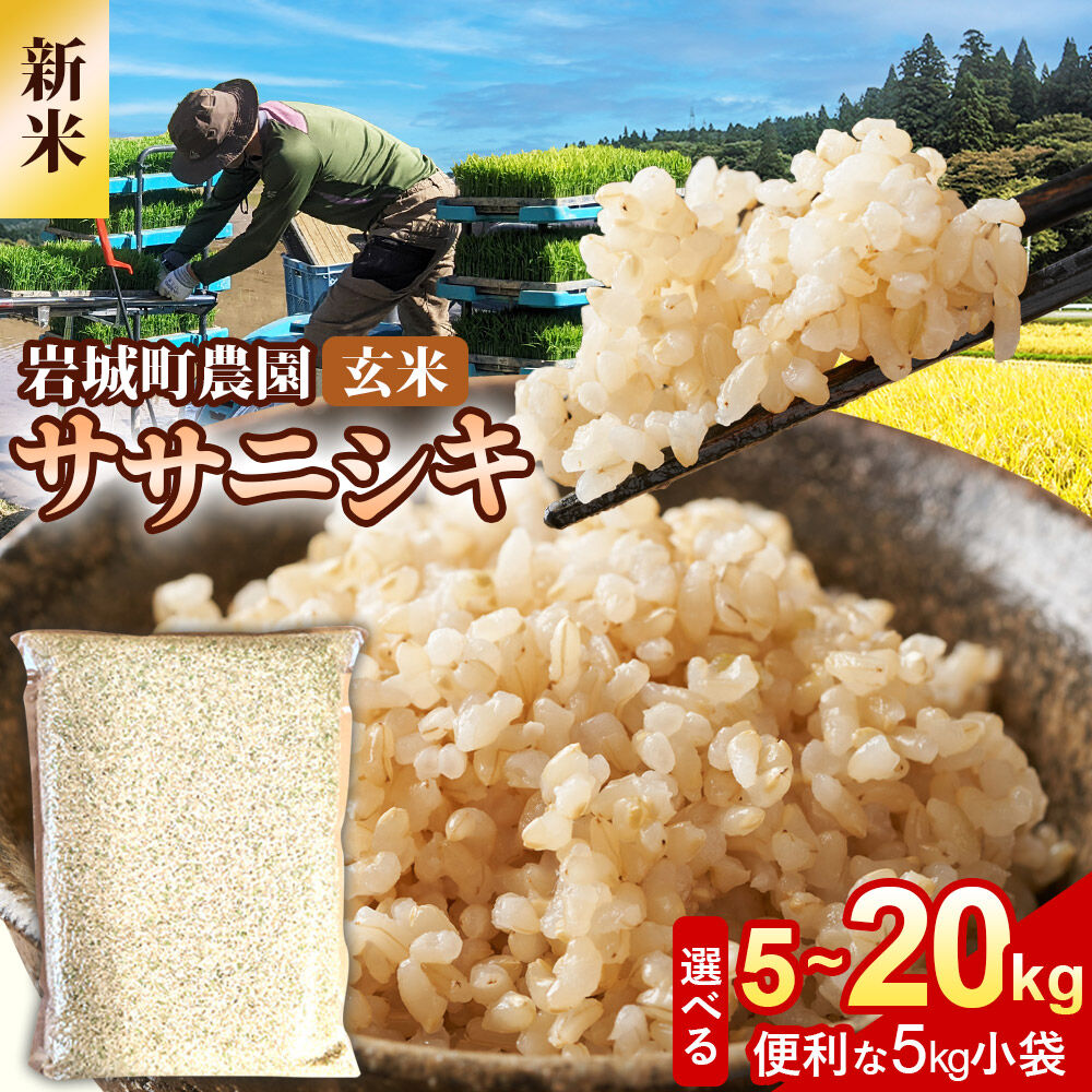 【ふるさと納税】《令和8年産 新米》【玄米】ササニシキ【選べる 容量：5kg／10kg／15kg／20kg】秋田県 由利本荘市産 真空パック 岩城町農園 [新米 米 お米 玄米 秋田県産 ササニシキ ブランド米 食卓 おにぎり 秋田県産 秋田]