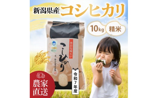 【令和7年産・コシヒカリ】南波農園の特別なお米 精米10kg／新潟県燕市産 FC024007