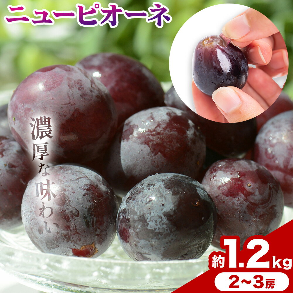 【ふるさと納税】【2026年先行予約】ご家庭用 岡山県産 ニューピオーネ 1.2kg 2-3房 晴れの国おかやま館 《2026年9月上旬-10月上旬頃出荷》岡山県 矢掛町 葡萄 ぶどう 果物 スイーツ フルーツ デザート【配送不可地域あり】（離島）