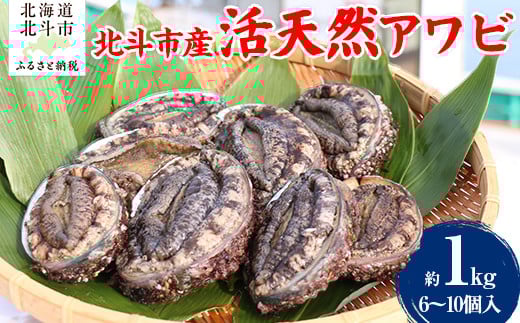 
            北斗市産 活天然アワビ 6～10個入 【 ふるさと納税 人気 おすすめ ランキング  あわび アワビ 鮑 天然あわび 天然アワビ 天然鮑 天然 活天然 北斗市産 海鮮 新鮮 津軽海峡 北海道 北斗市 送料無料 】 HOKAJ002 
          