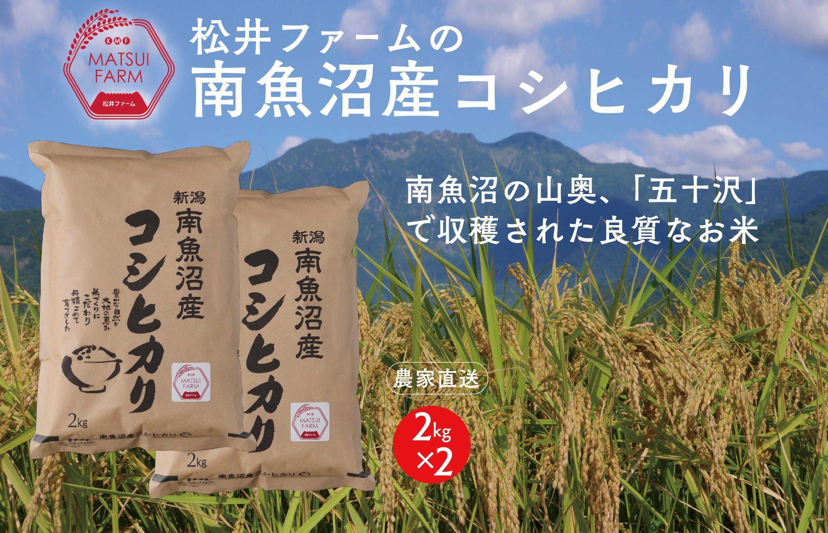 
令和6年産【定期便】南魚沼産コシヒカリ（4kg×12回)
