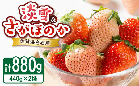 【2027年1月以降順次発送】淡雪・さがほのか 紅白いちごセット 220g×4パック / 苺 果物 フルーツ 白苺 / 佐賀県 / 岸川農園[41ASAG011]