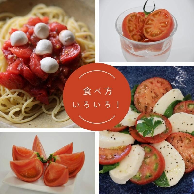 【2026年先行予約】 訳あり 珊瑚樹トマト約1.5kg 2026年5月発送 甘い トマト フルーツトマト 野菜 やさい 国産 産地直送 旬 新鮮 ソース 調味料 ケチャップ サラダ 美容 健康 お取