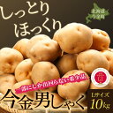 【ふるさと納税】【先行予約】今金男しゃく（Lサイズ）約10kg【GI認証取得】（2024年10月発送） F21W-287