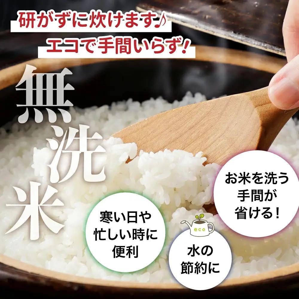 無洗米宮城県産ひとめぼれ 10kg 無洗